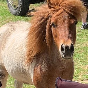 Meet your Posher, Jayne